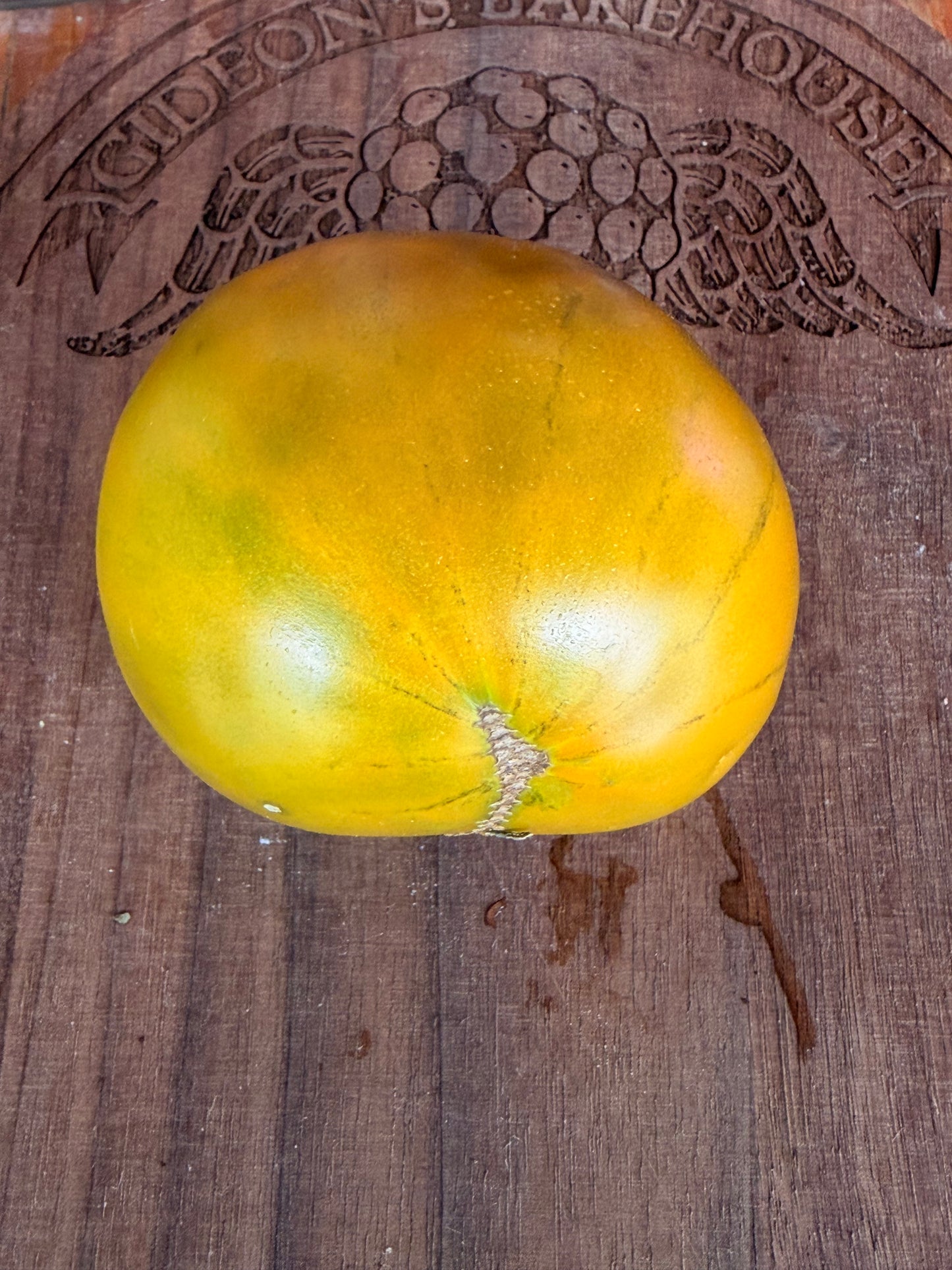 RACER X TOMATO SEEDS