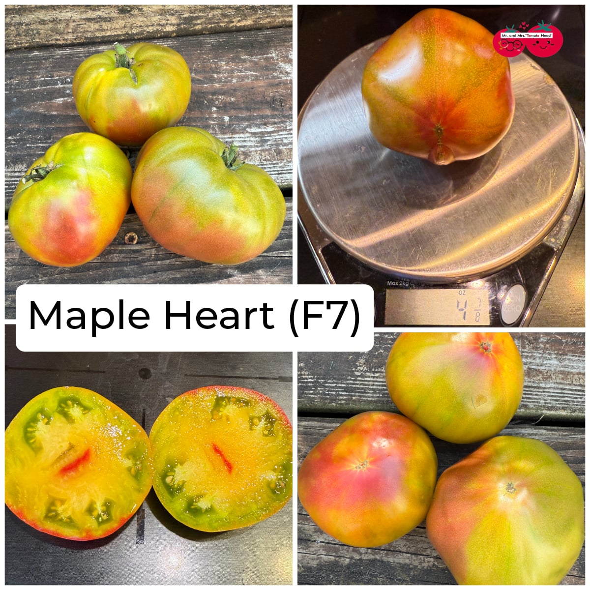 MAPLE HEART TOMATO SEEDS