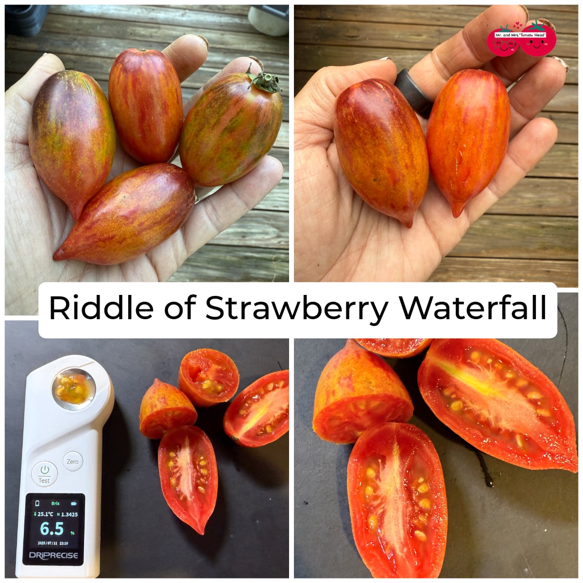 RIDDLE of STRAWBERRY WATERFALL