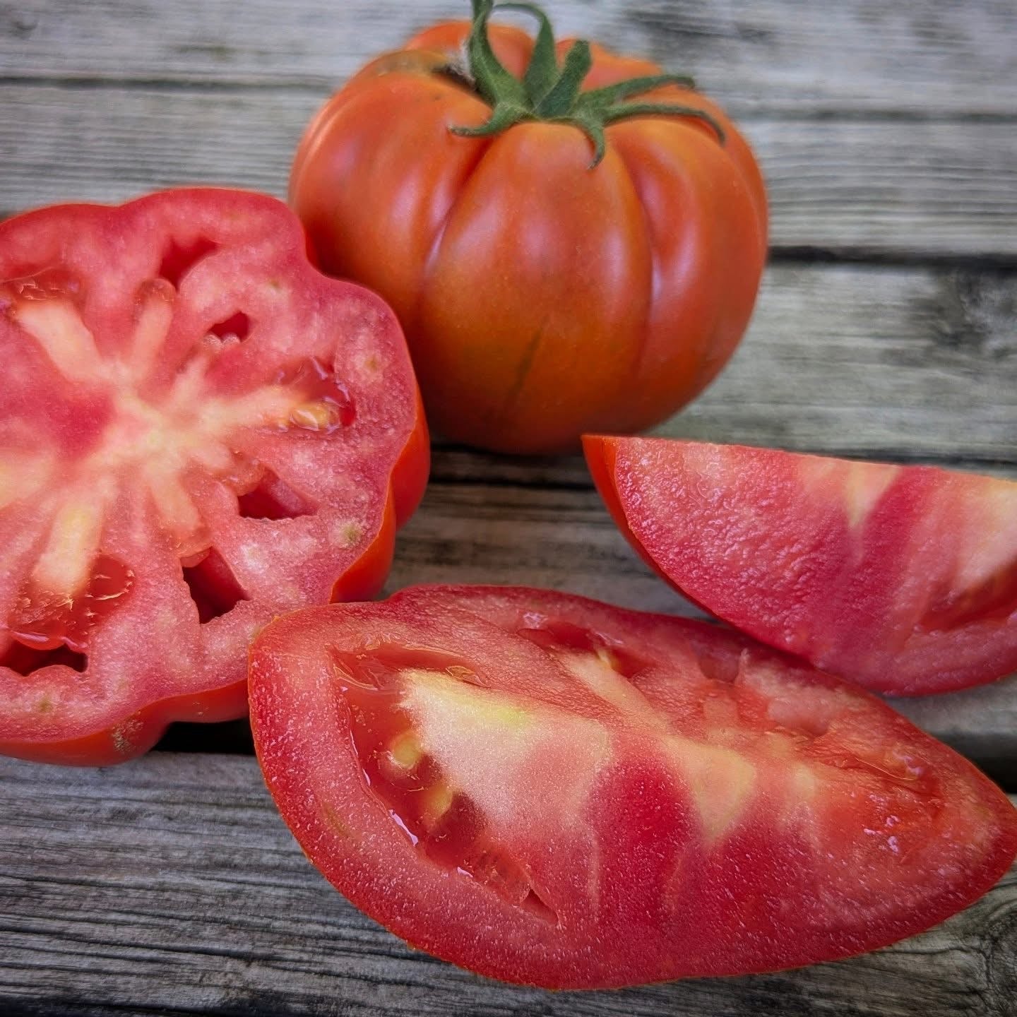 Marinda Tomato Seeds
