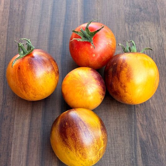 PLANET EARTH TOMATO SEEDS