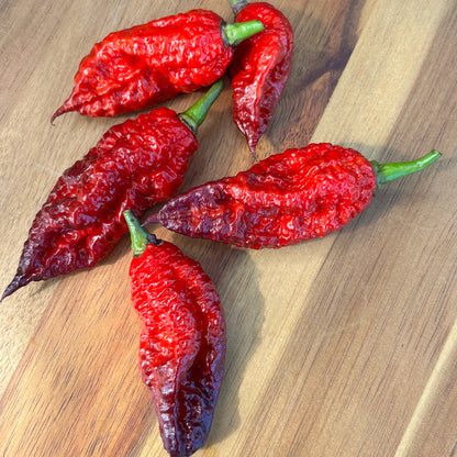 BORG 9 PEPPER SEEDS