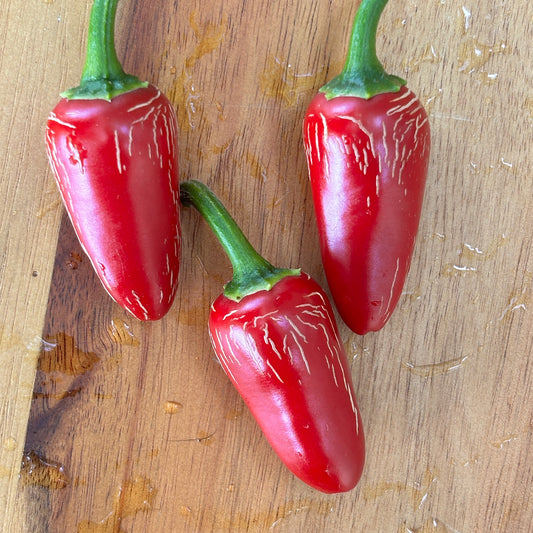 RAYADOS JALAPENO PEPPER SEEDS