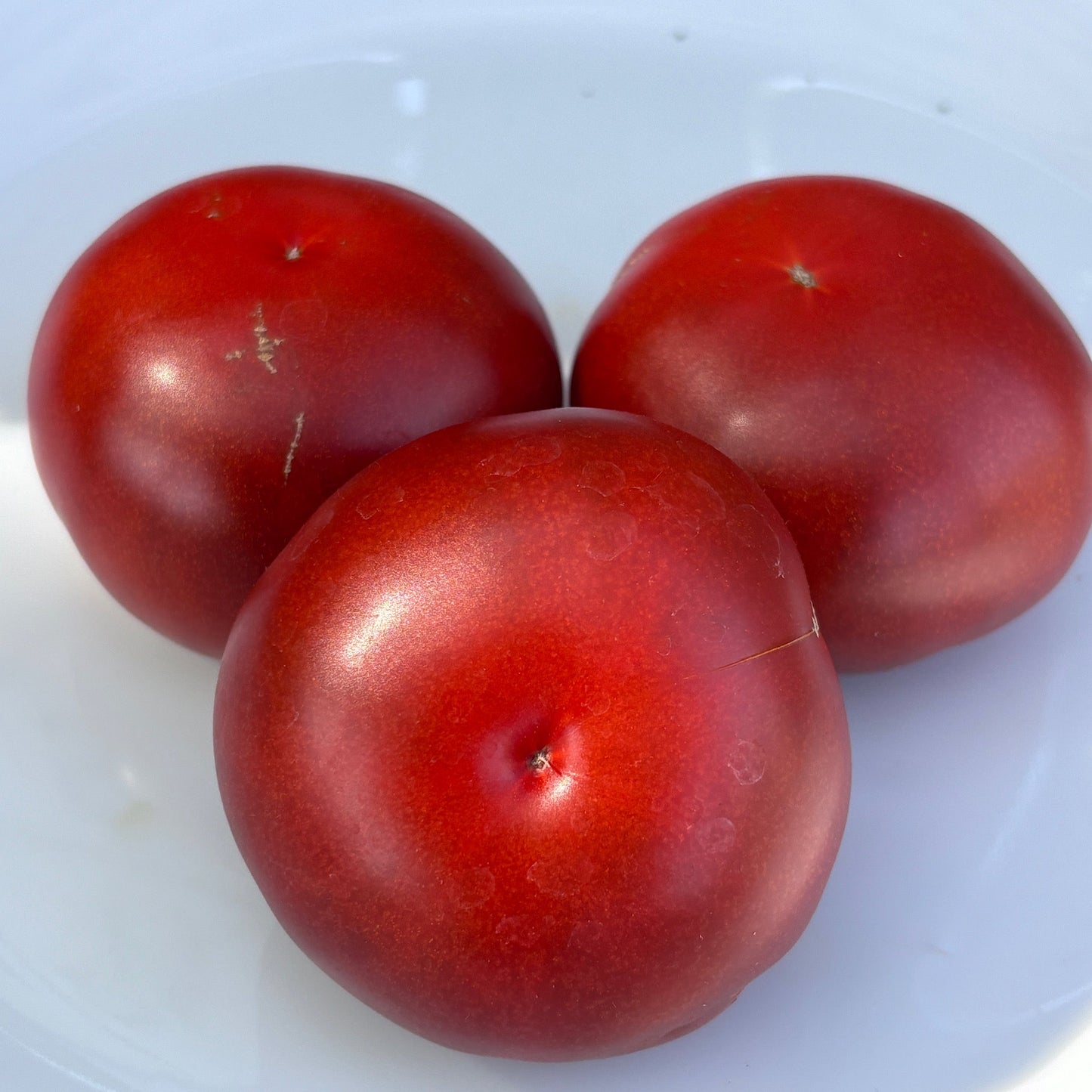 FIREBIRD SWEET DWARF TOMATO SEEDS