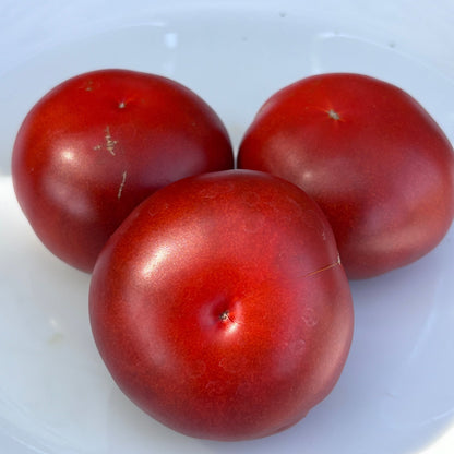 FIREBIRD SWEET DWARF TOMATO SEEDS