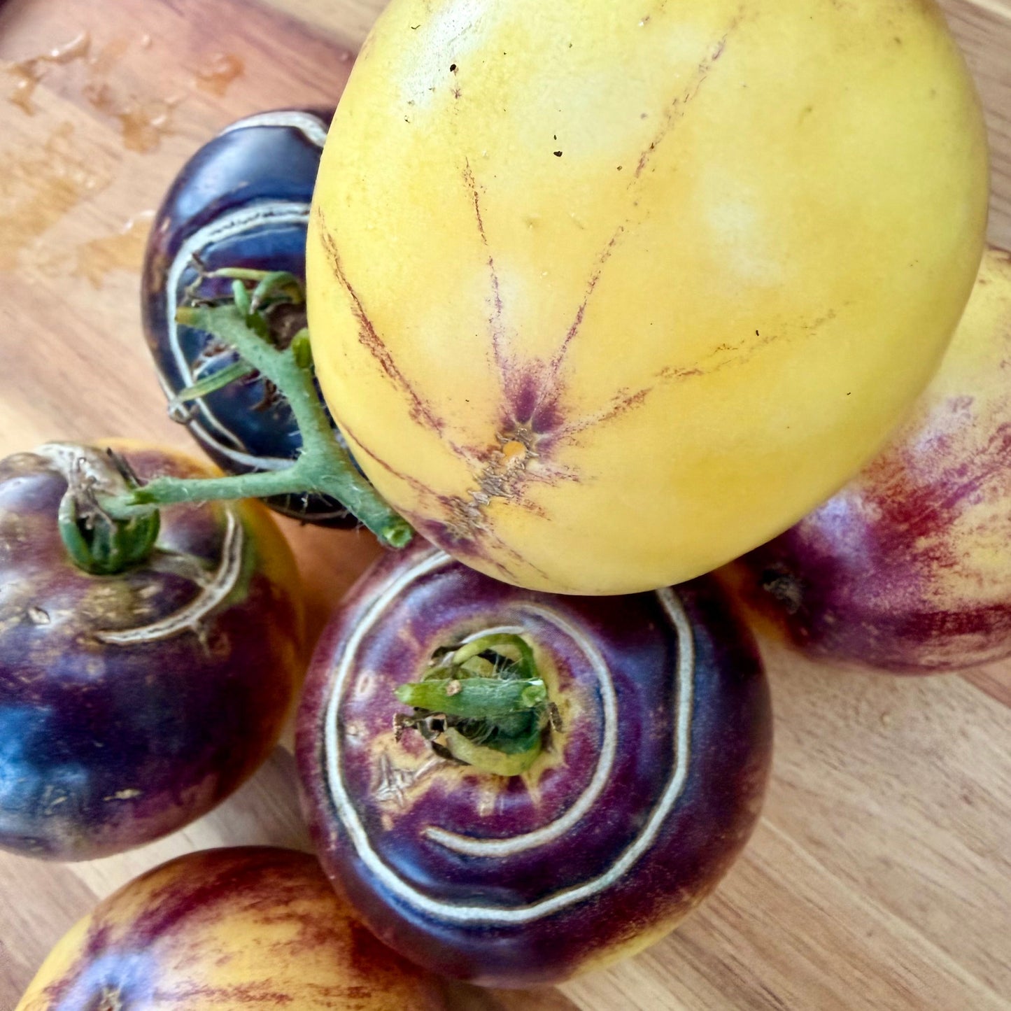 Dirty Curty Yellow Tomato Seeds