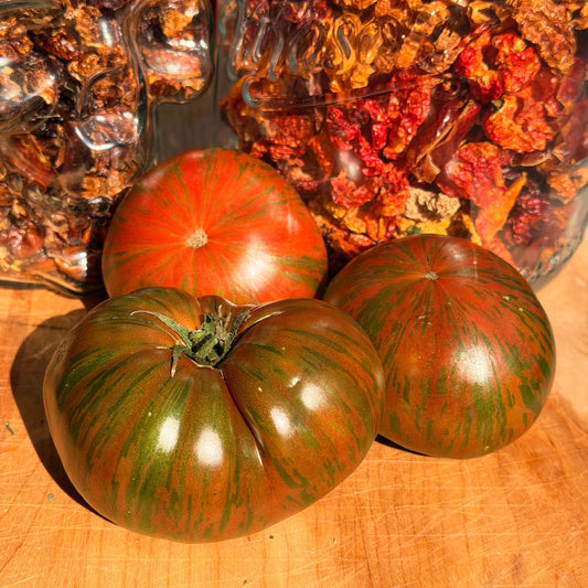 SHAKE THE DISEASE TOMATO SEEDS