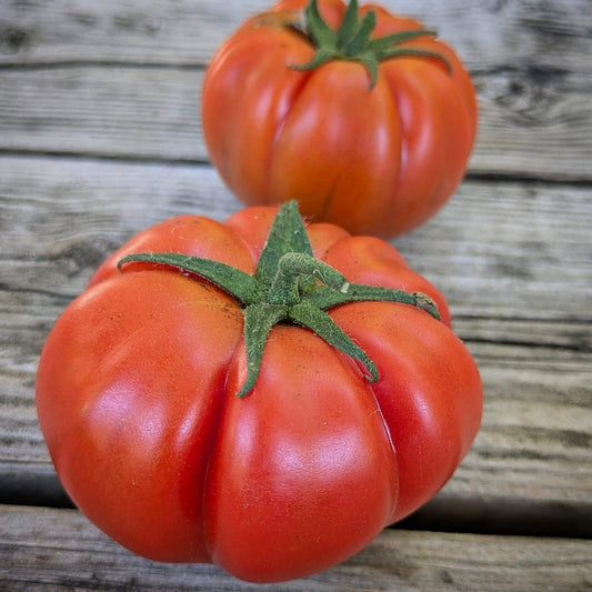 Marinda Tomato Seeds