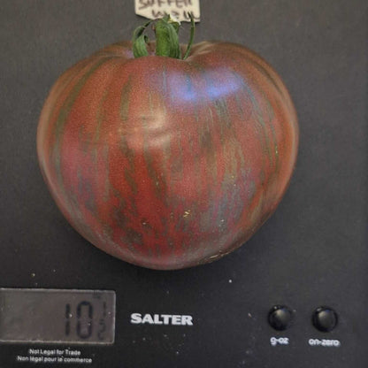 Suffer Well Tomato Seeds