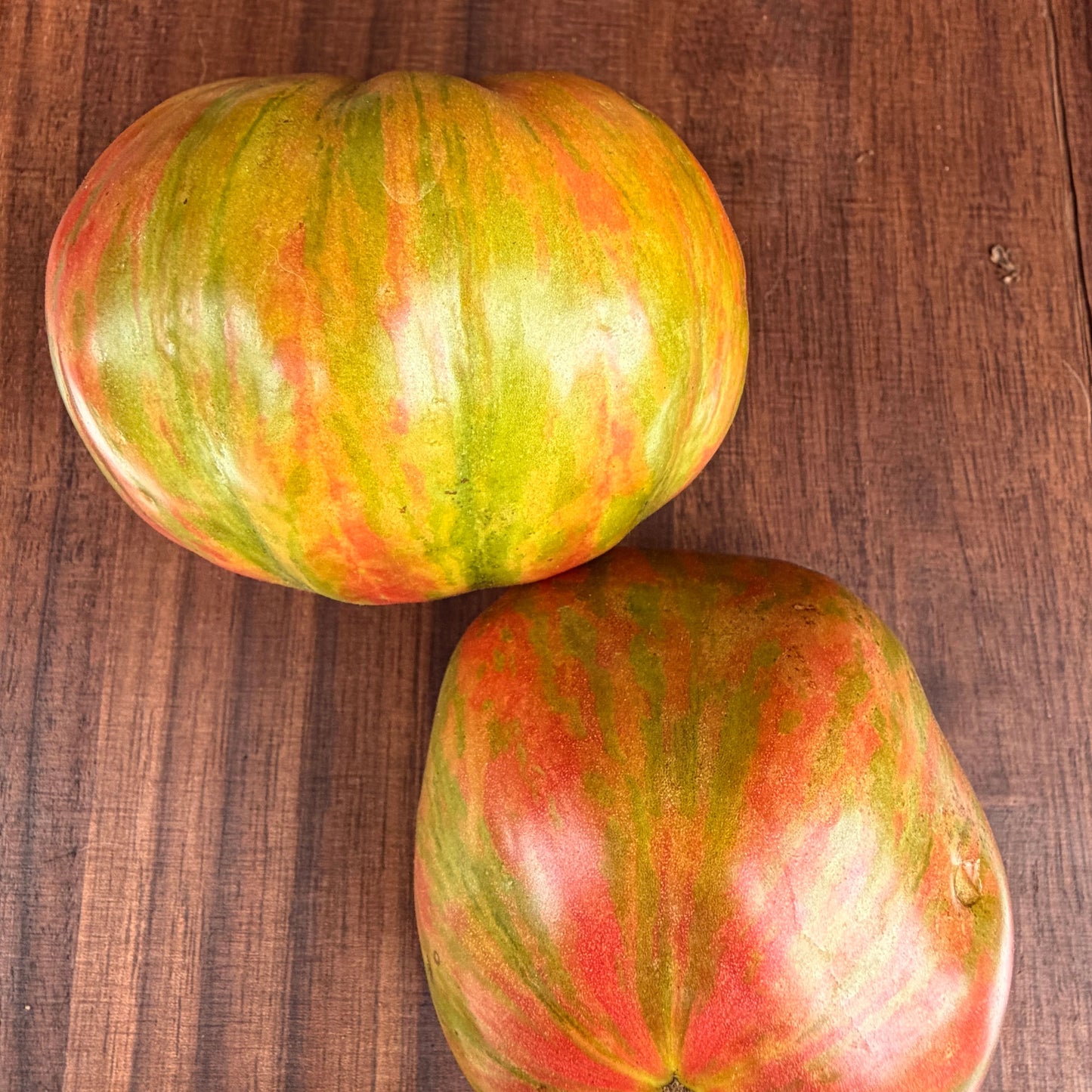 GREEN LANTERN LIGHTS TOMATO SEEDS