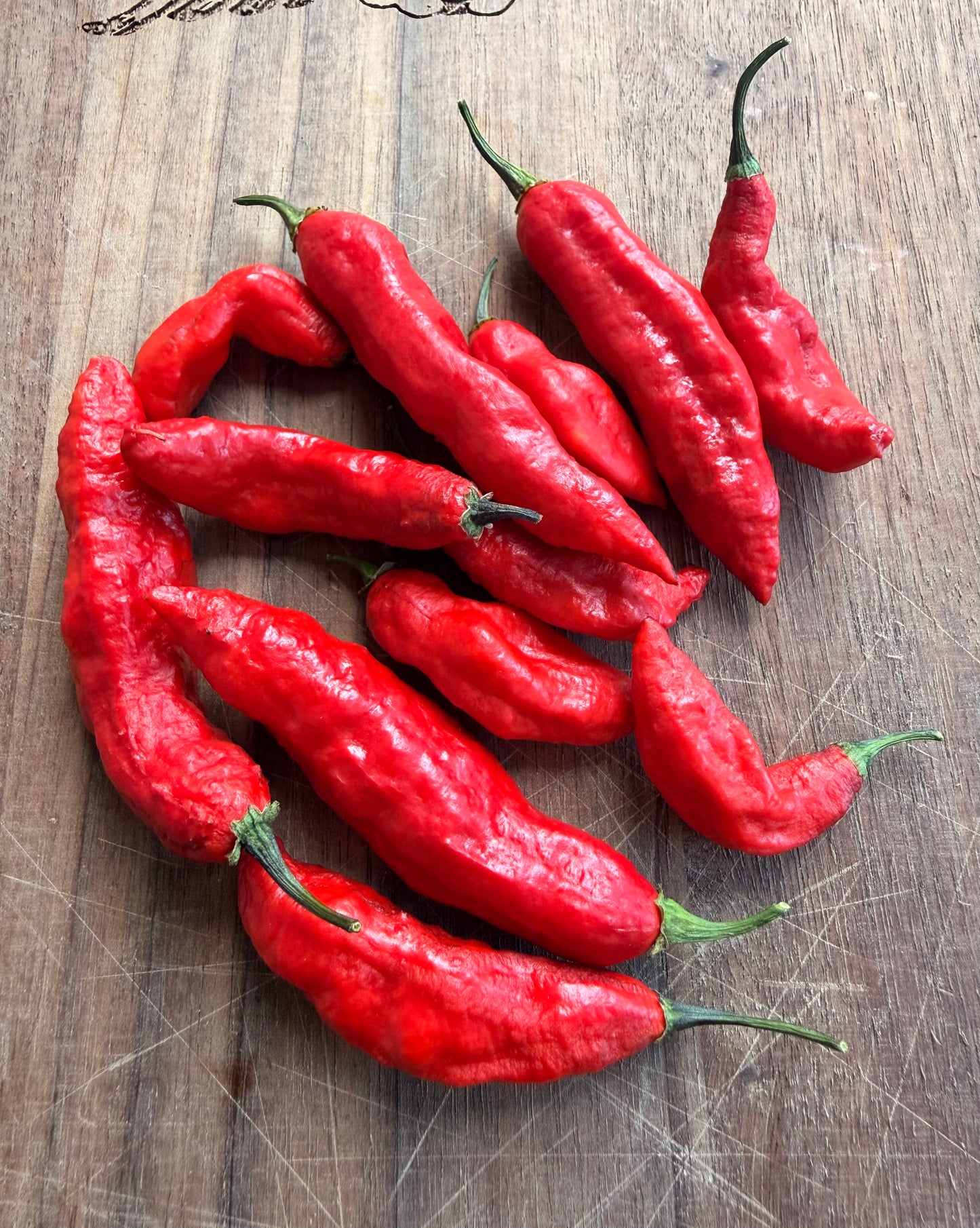 BLACK GHOST PEPPER SEEDS