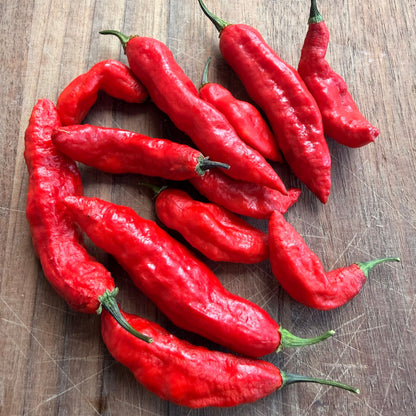 BLACK GHOST PEPPER SEEDS