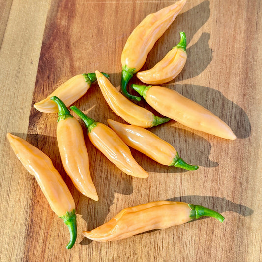COYOTE ZAN PEACH PEPPER SEEDS