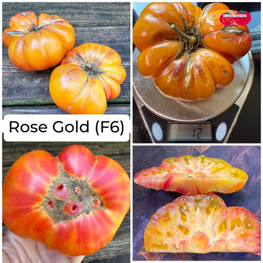 ROSE GOLD TOMATO SEEDS