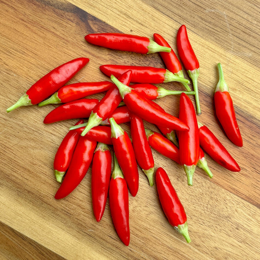 MIDWEST FIESTA ORANGE PEPPER SEEDS