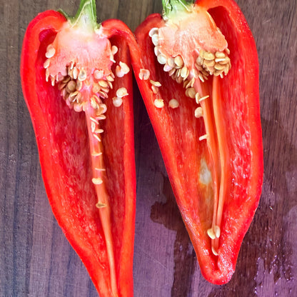GALAXY BELL SWEET PEPPER