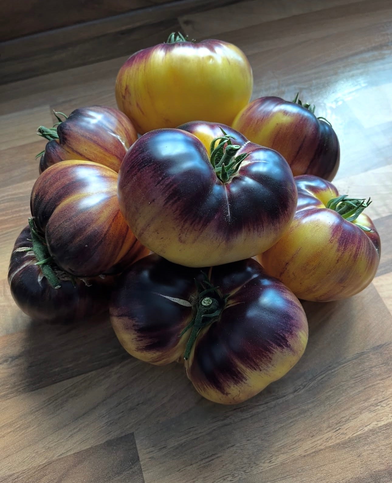 SART ROLOISE TOMATO SEEDS