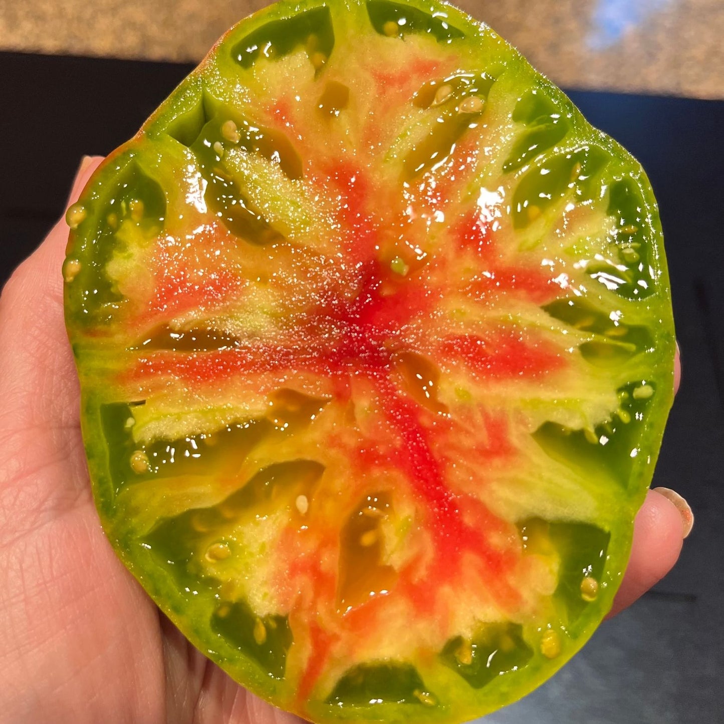 JARSON 1 TRICOLOR TOMATO SEEDS