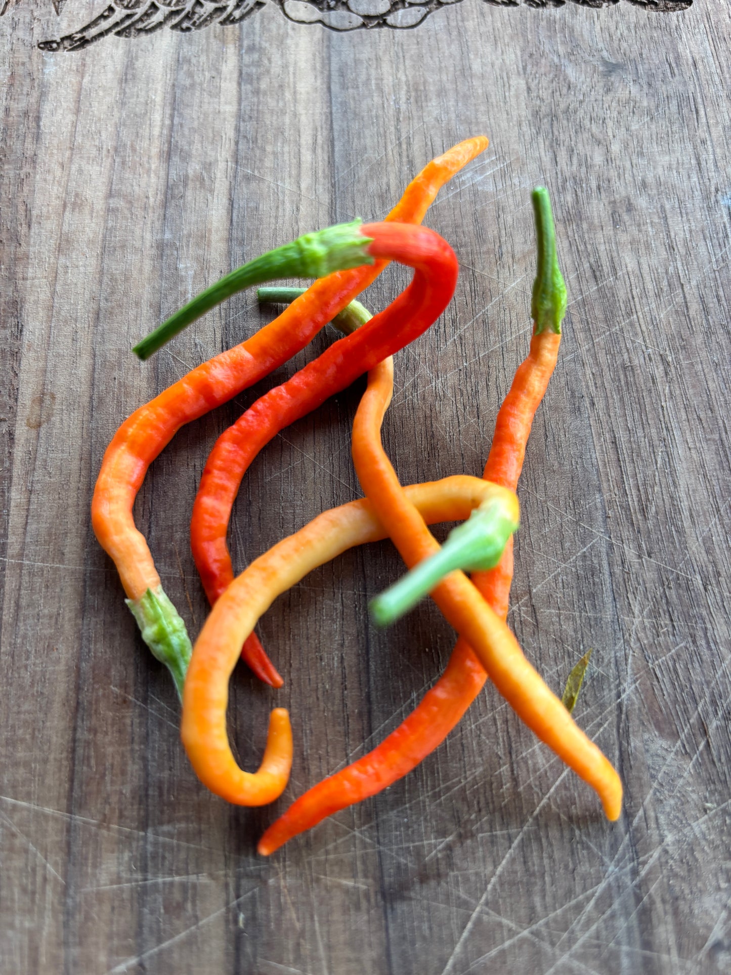 CAYENNE SWEETNESS F2 PEPPER SEEDS