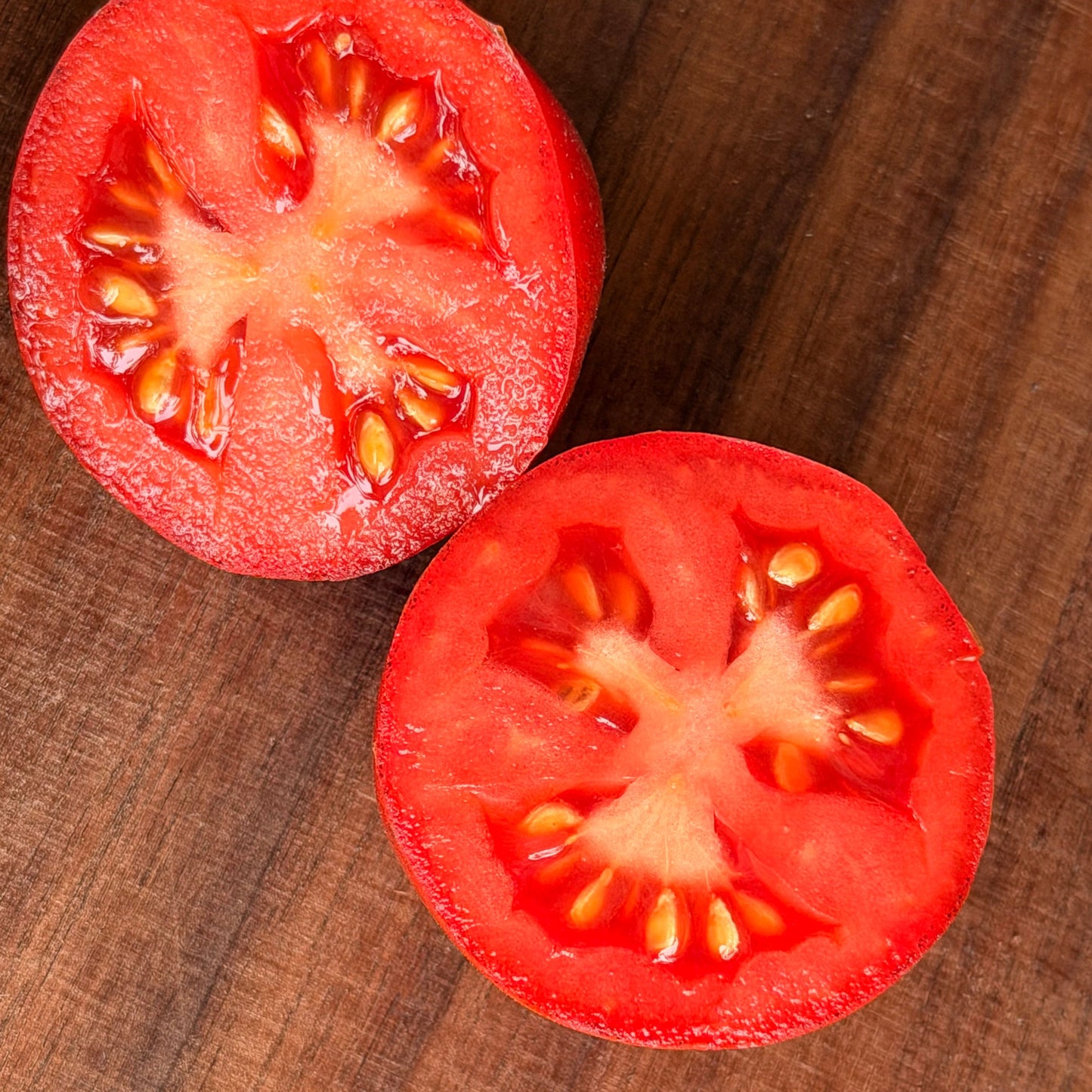 BLUE CASCADE CHERRY TOMATO SEEDS