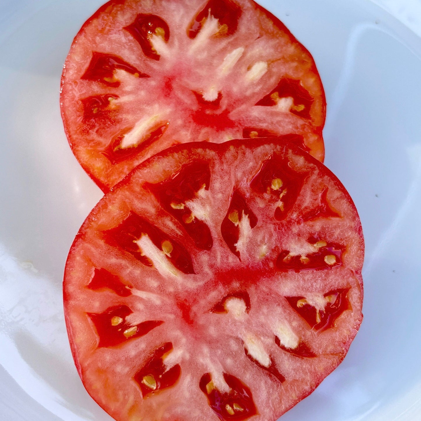 ZOE’S SWEET DWARF TOMATO SEEDS