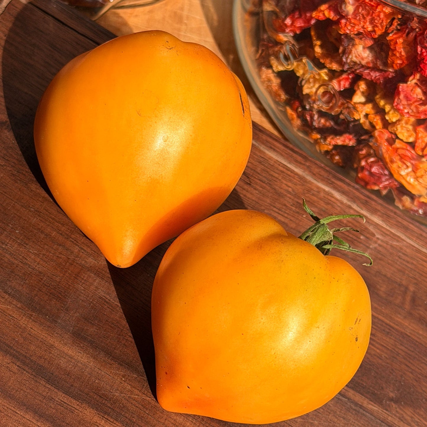 KOZULA 156 TOMATO SEEDS