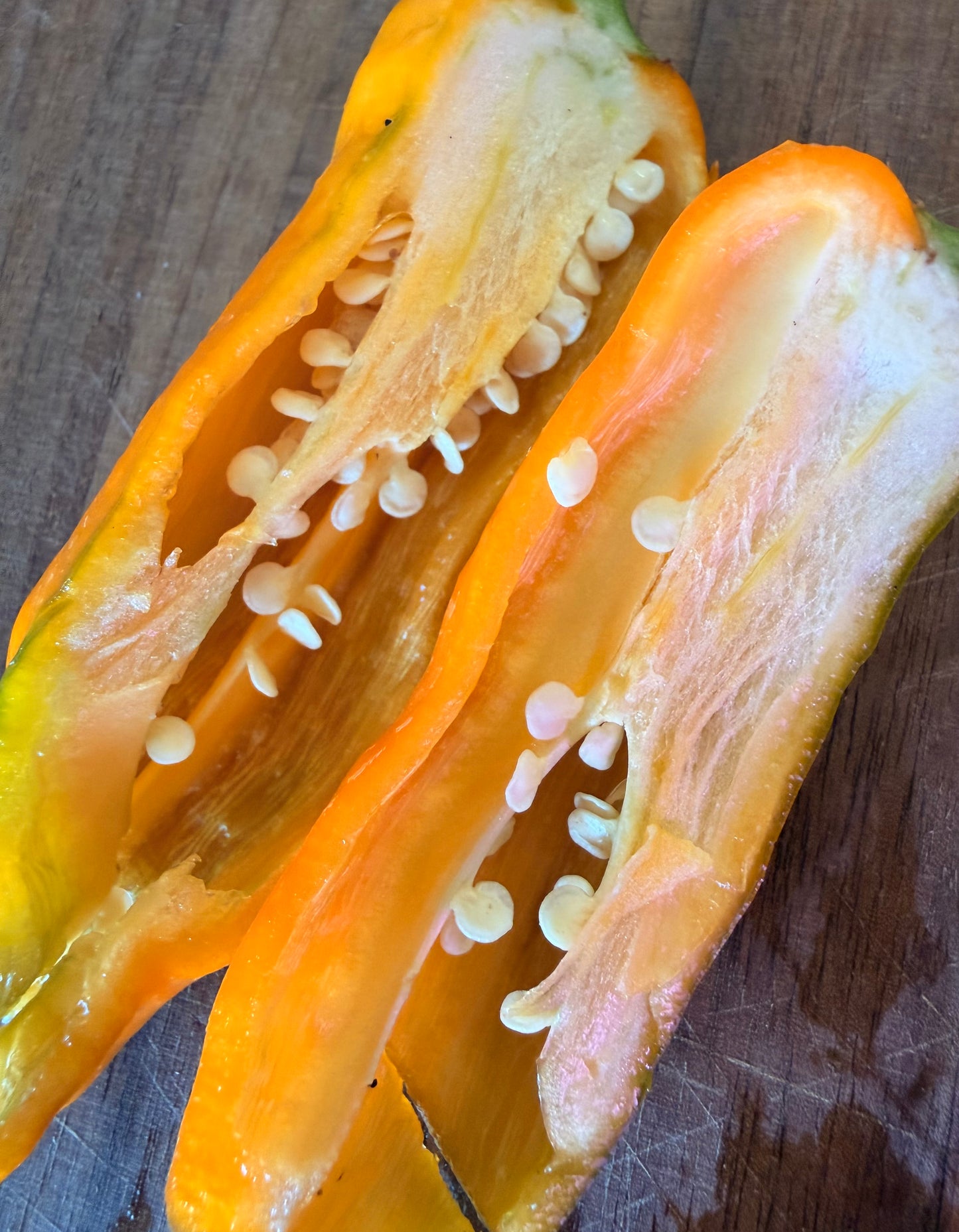 GIANT SWEET DEVILS HORN PEPPER SEEDS