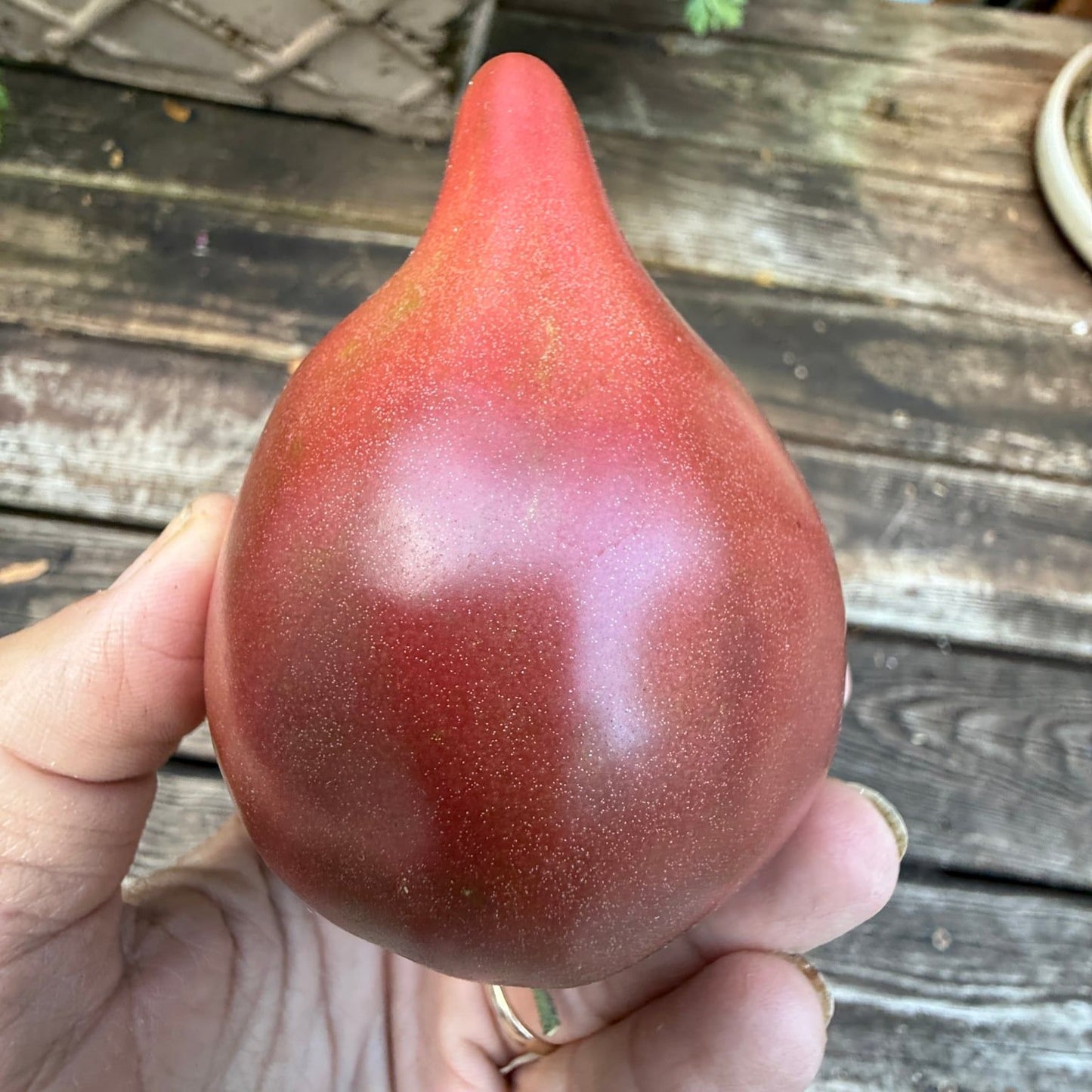 SPARKLING PURPLE LIGHT (F7) TOMATO SEEDS