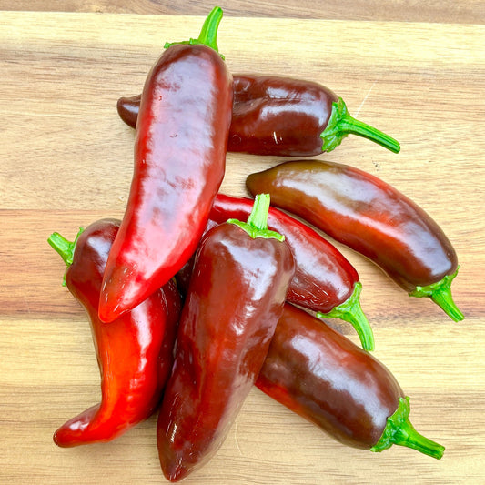 MOCHA SWIRL PEPPER SEEDS