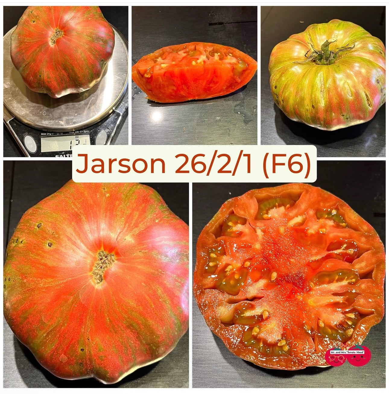 JARSON 26/2/1 TOMATO SEEDS