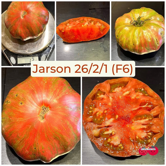 JARSON 26/2/1 TOMATO SEEDS