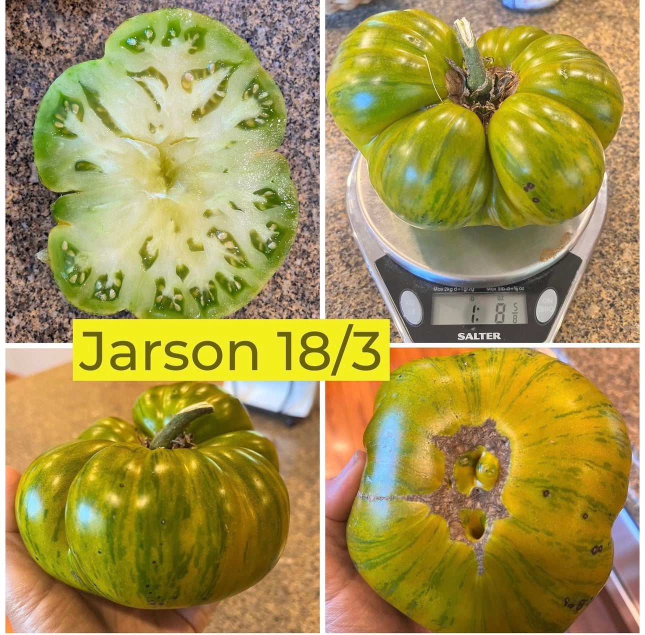 JARSON 18/3 TOMATO SEEDS