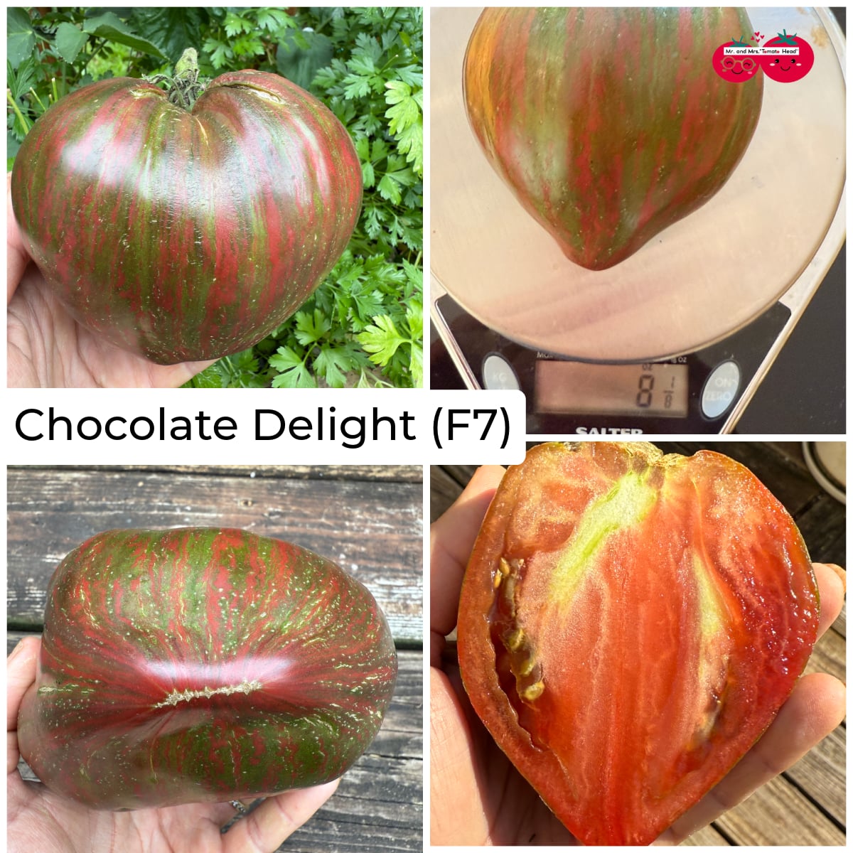 CHOCOLATE DELIGHT TOMATO SEEDS