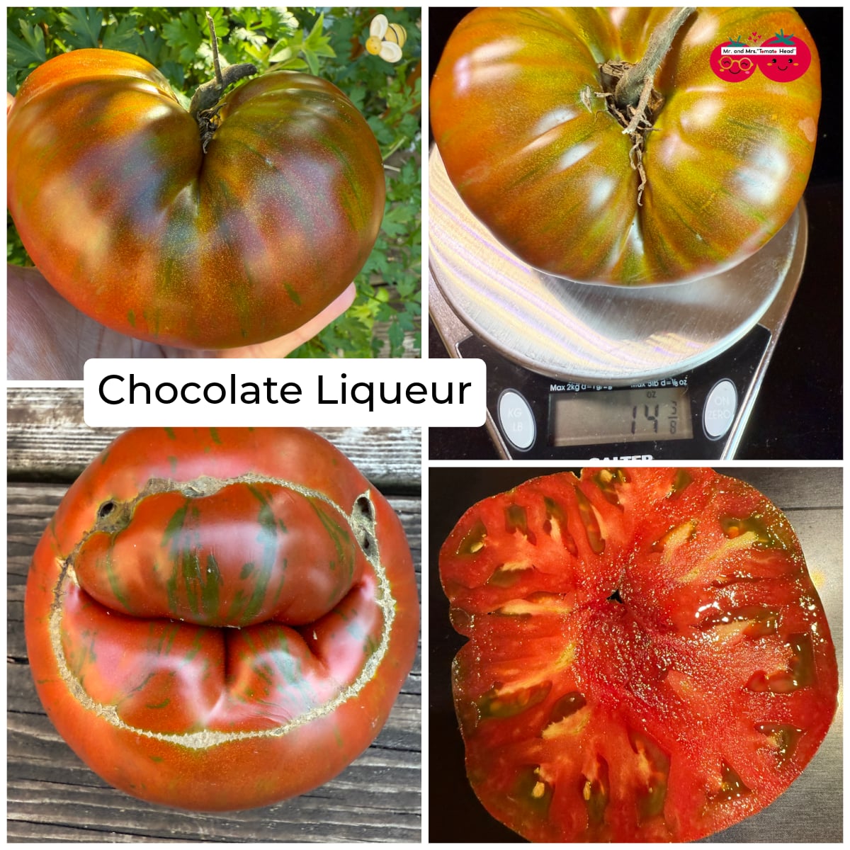 CHOCOLATE LIQUEUR TOMATO SEEDS