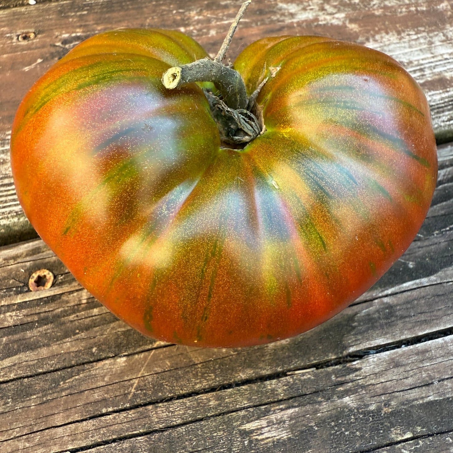 CHOCOLATE LIQUEUR TOMATO SEEDS