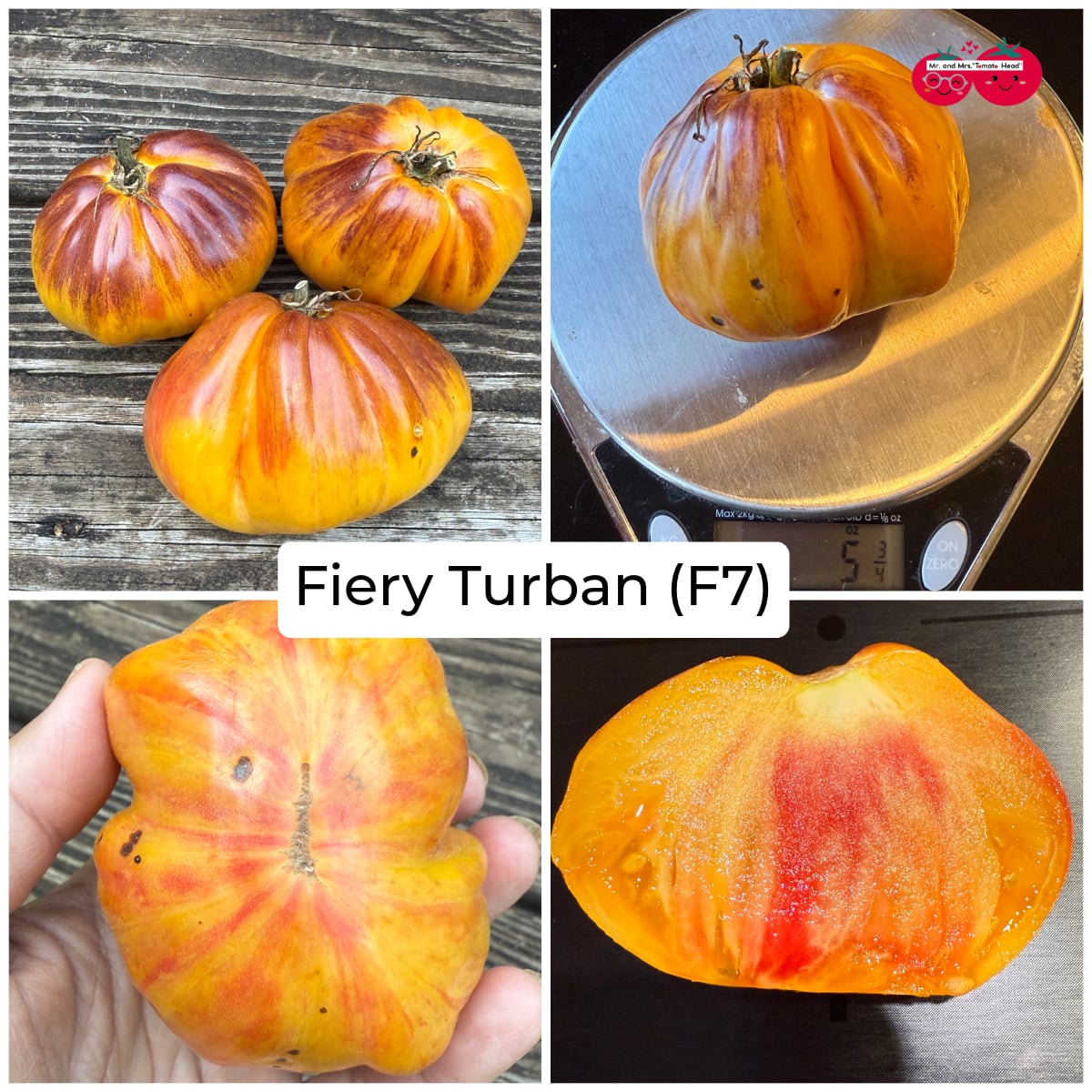 FIERY TURBAN TOMATO SEEDS