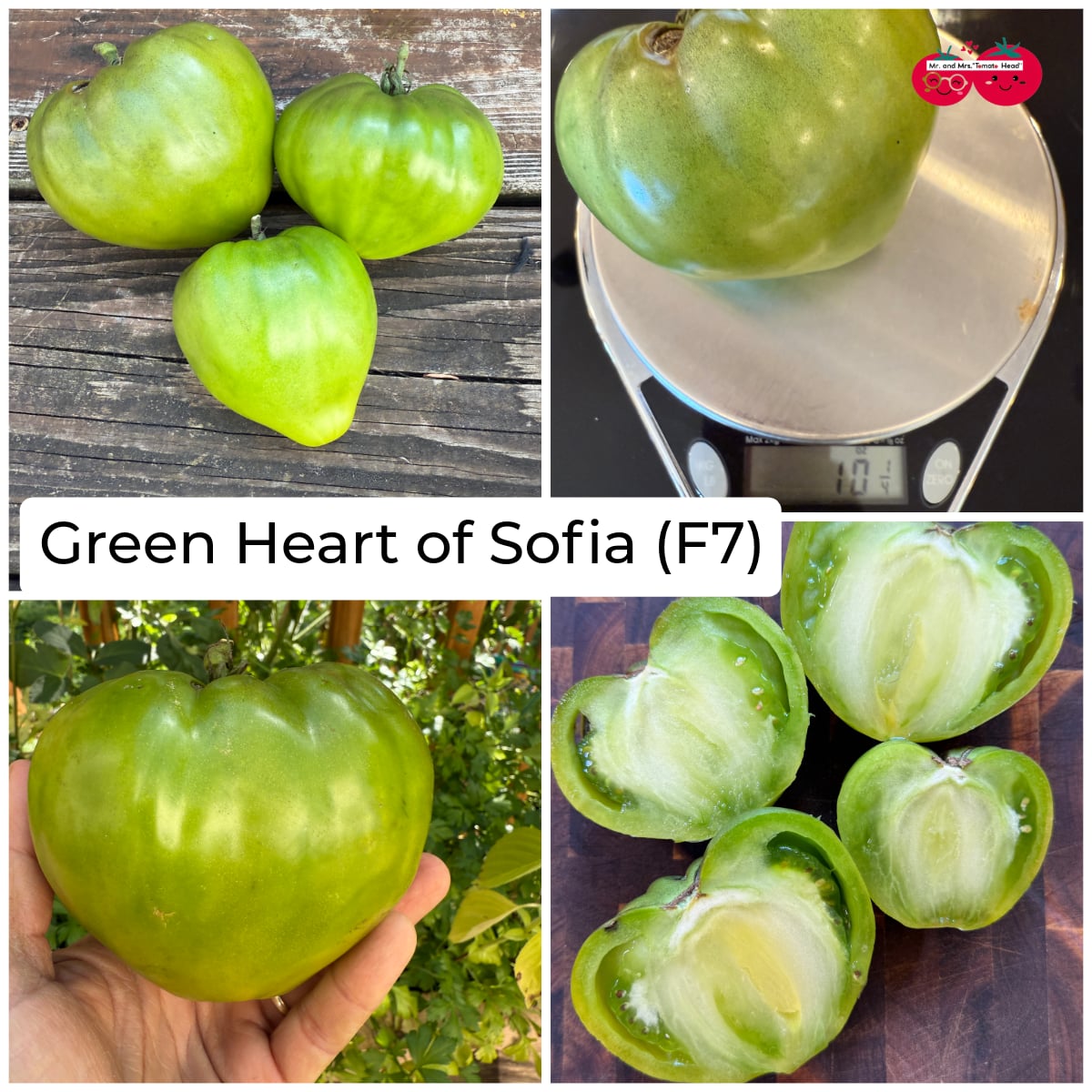 GREEN HEART of SOPHIA TOMATO SEEDS
