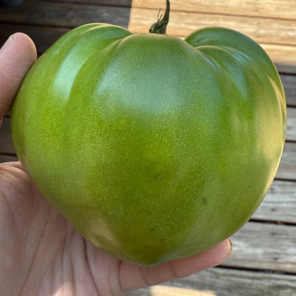 GREEN HEART of SOPHIA TOMATO SEEDS