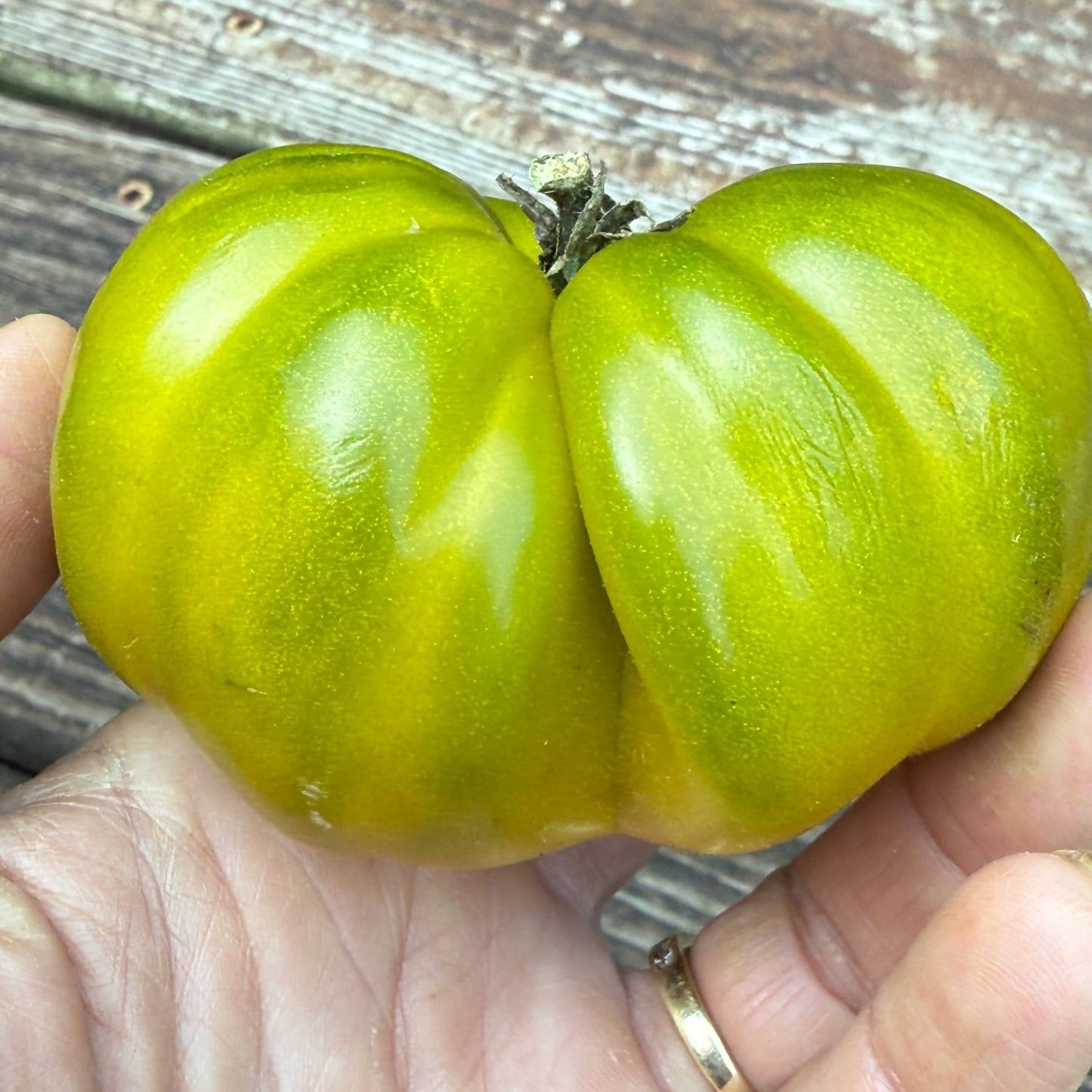 GREEN PRINCE RUFFLED TOMATO SEEDS