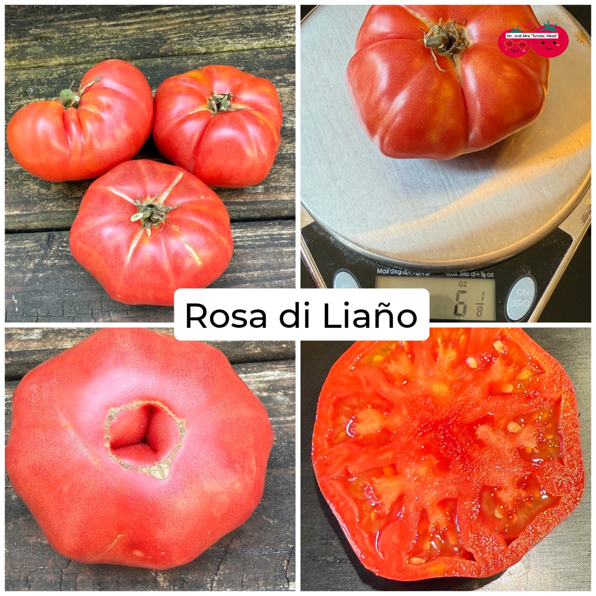 ROSA DI LIANO TOMATO SEEDS