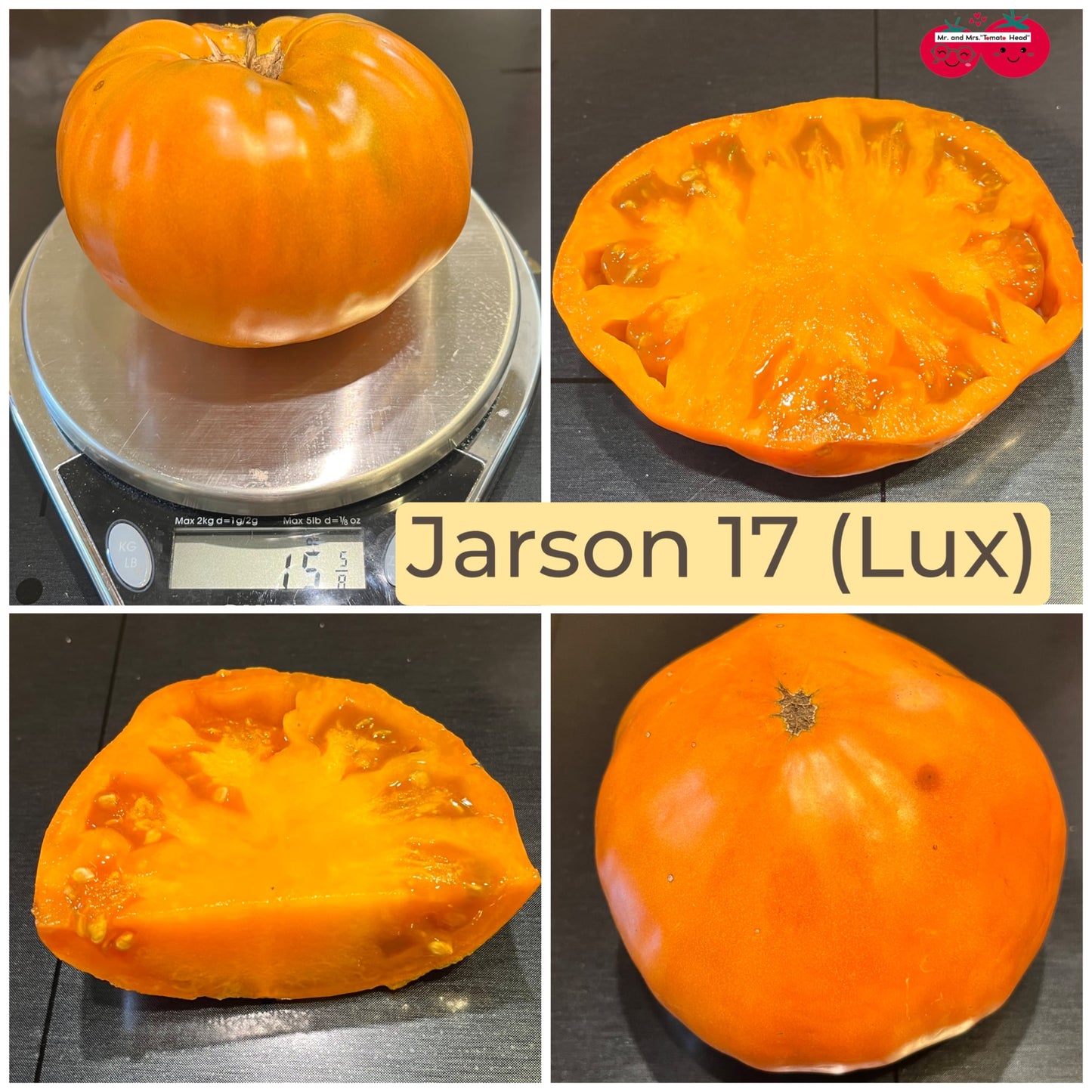 JARSON 17 TOMATO SEEDS