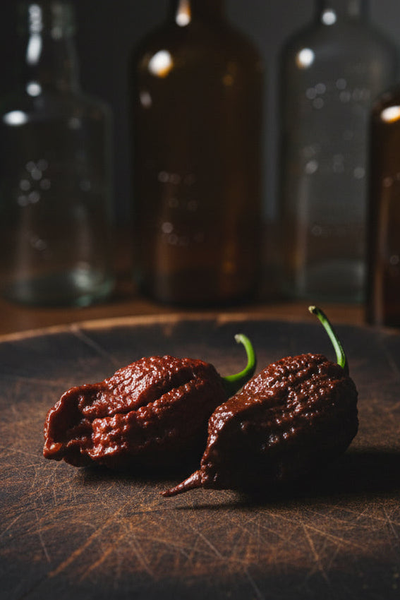 REMMERT SUPERHOT PEPPER SEEDS