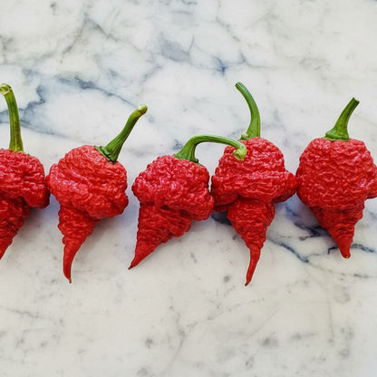 RB003 SUPERHOT PEPPER SEEDS