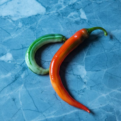 MATTAHORN PEPPER SEEDS