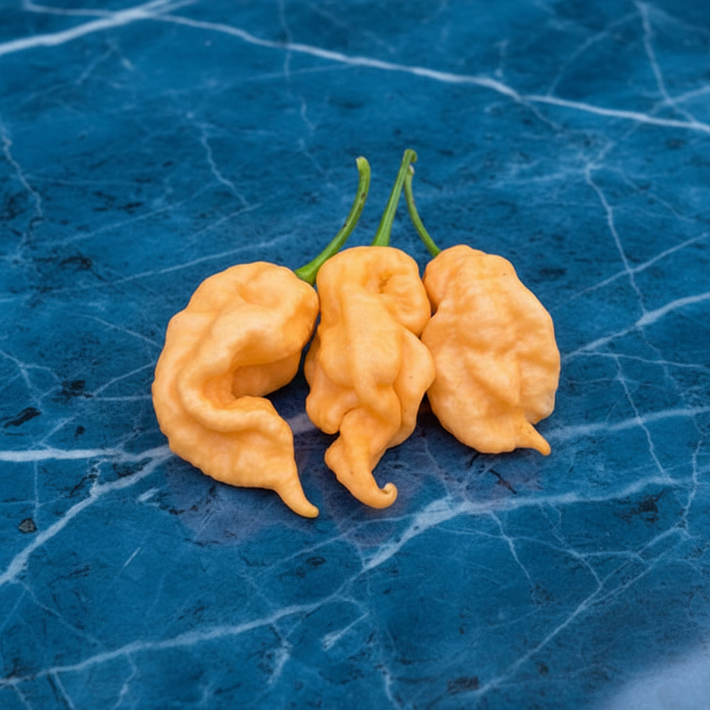 PEACH GHOST SCORPION PEPPER