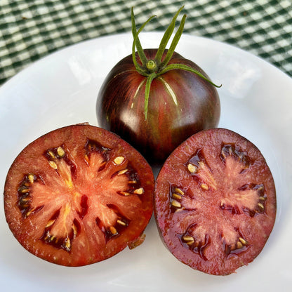 REBEL STARFIGHTER PRIME TOMATO SEEDS