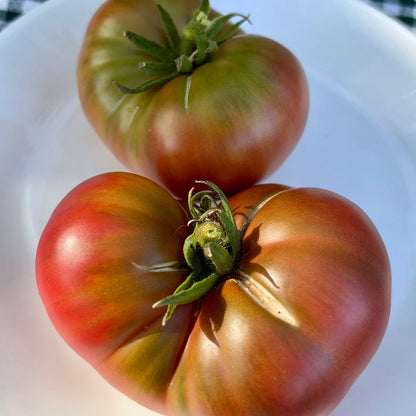 WILD FRED DWARF TOMATO SEEDS