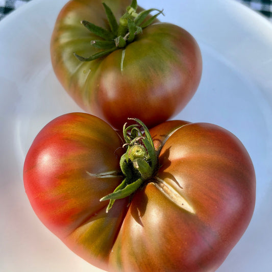 WILD FRED DWARF TOMATO SEEDS
