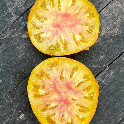 CHUPA CHUPS TOMATO SEEDS