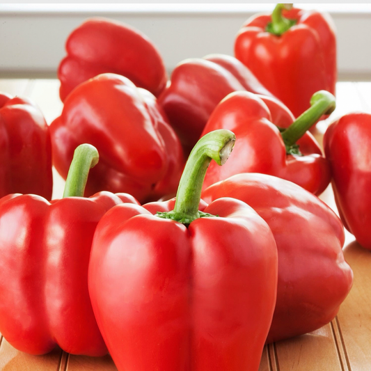 BELL PEPPER RED PEPPER SEEDS